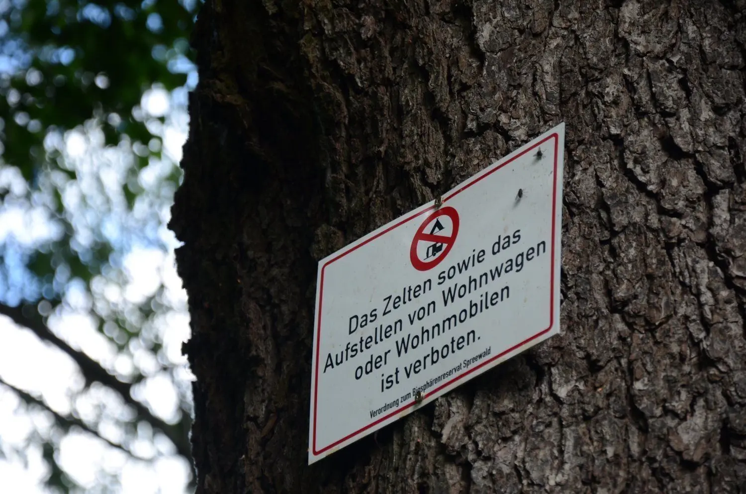 In schwer erreichbarer Höhe ist nahe einer abgelegenen Kleingartensparte in Lübbenau eines der neuen Hinweisschilder von der Biosphäre angebracht worden.