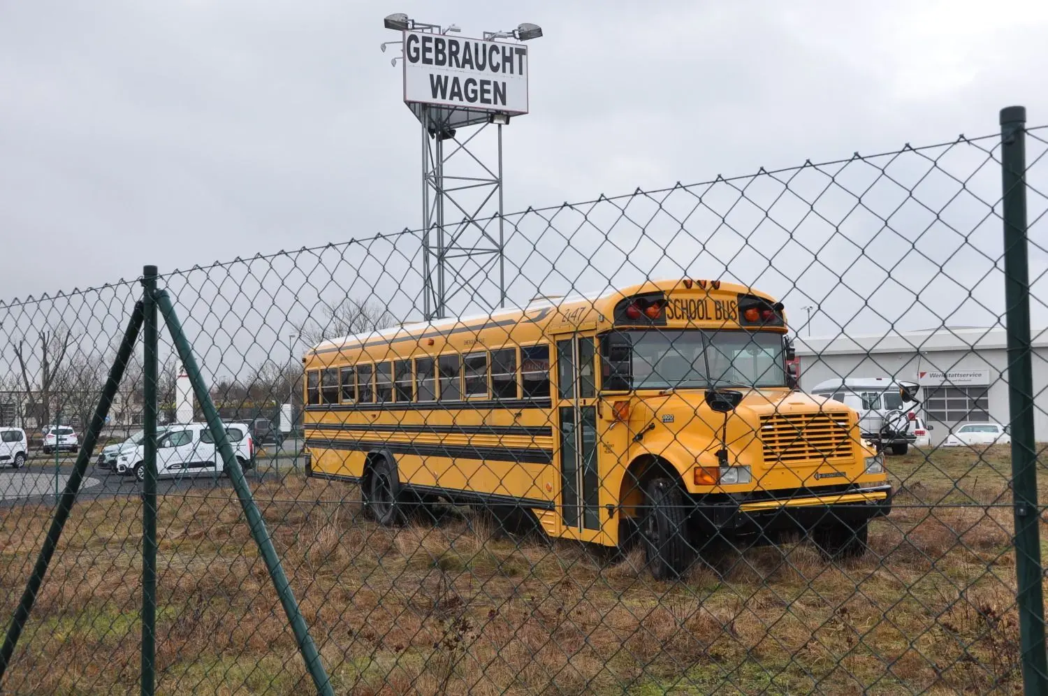 Der American Schoolbus der Elsterwerdaer Magpies steht auf der Wiese eines Elsterwerdaer Autohauses.