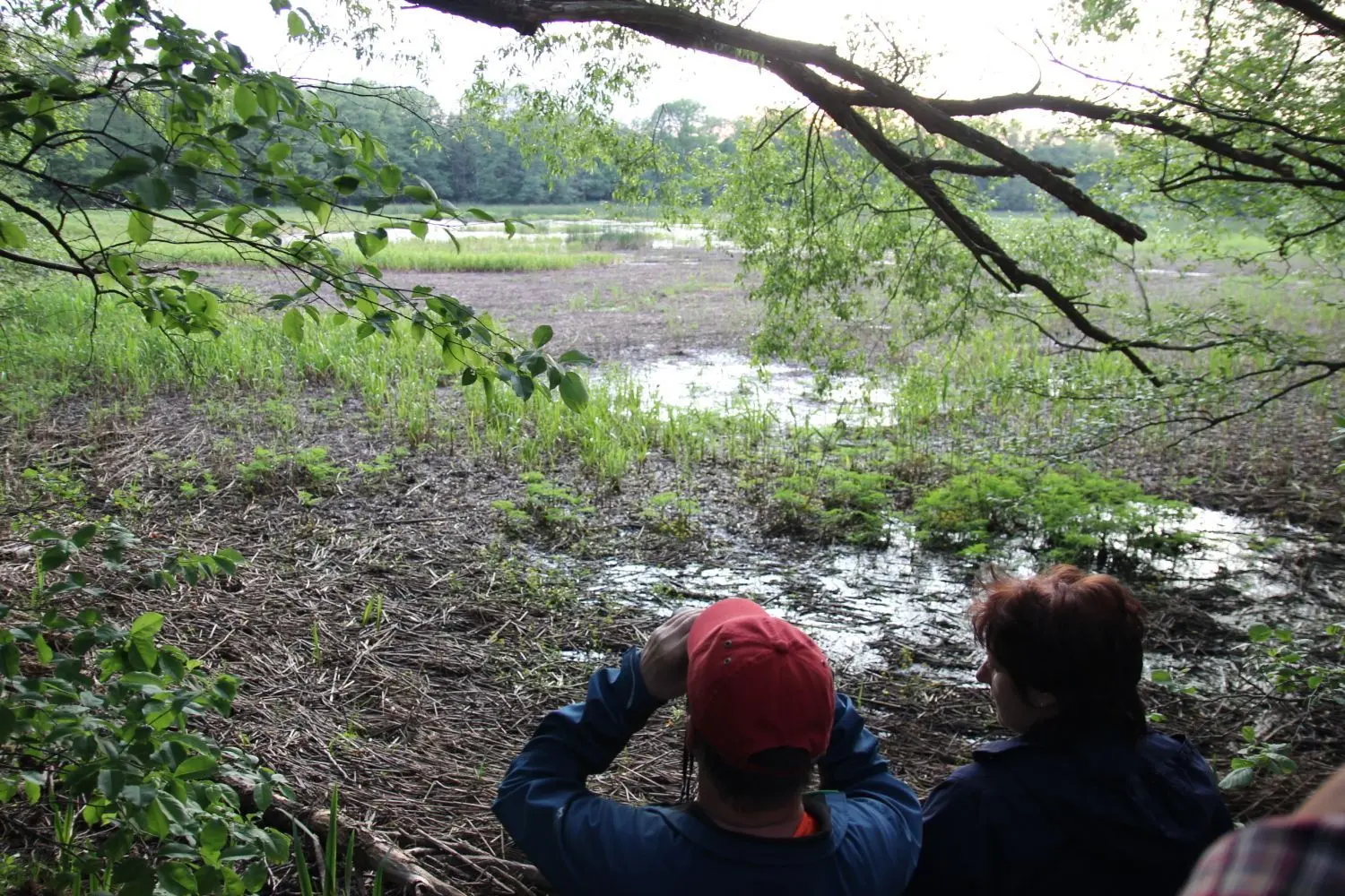 Der Wassermangel begleitet den Sorgenteich bereits seit Jahren. 2018 und 2019 war das Gewässer komplett trocken gefallen.