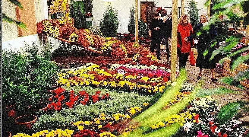 In die einstige Blumenhalle zog später eine Bowlingbahn ein. Demnächst soll in dem besonderen Ambiente ein Restaurant eröffnet werden.