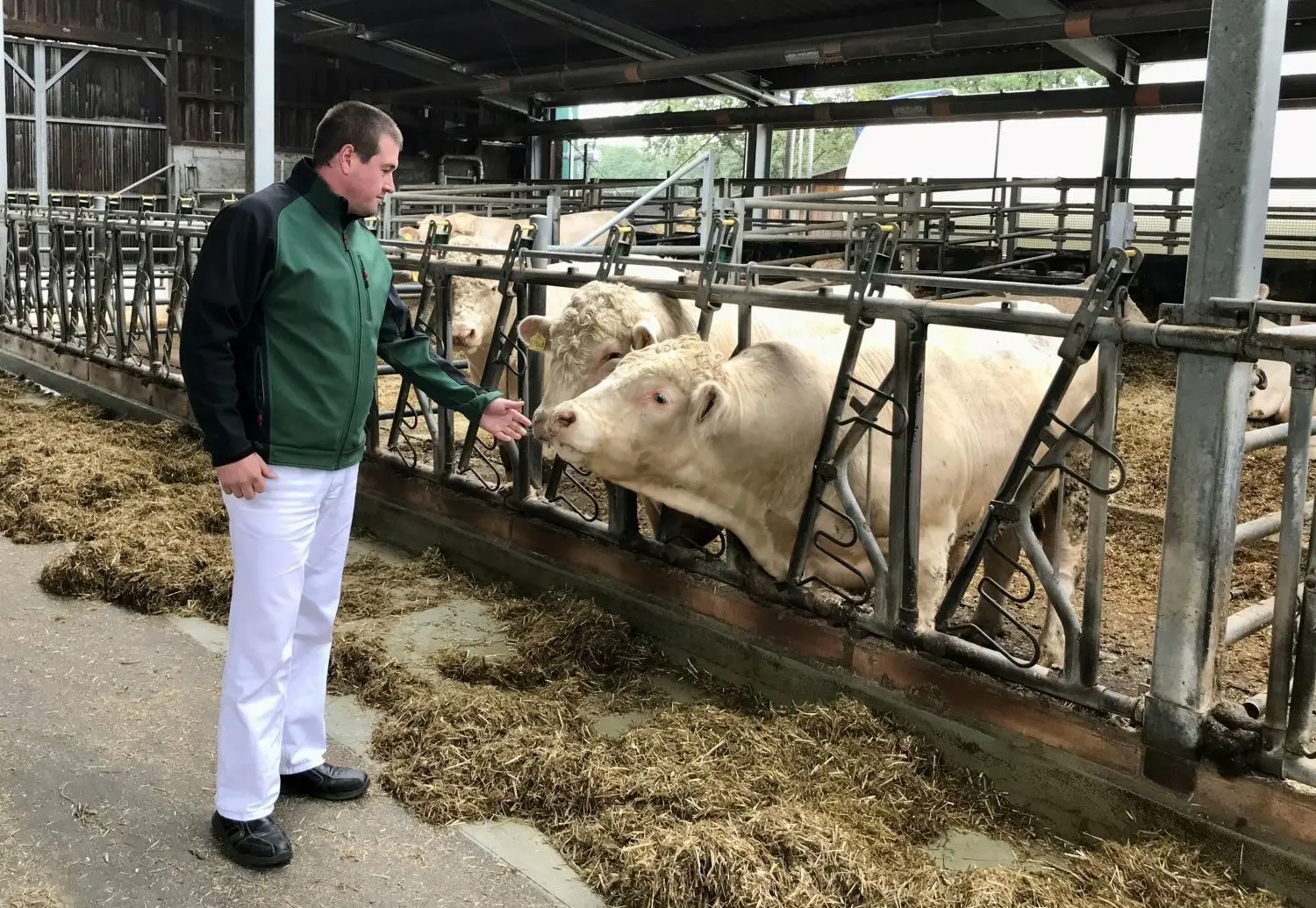 Henrik Brunsch im Stall der Viereichener Rindfleisch e.G. in Rietschen-Neuliebel. Beim Hoffest sind auch Rundgänge durch den Stall und die Fleischerei möglich.