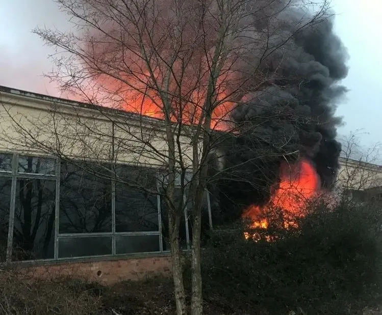 Als die Einsatzkräfte beim Brand in der Industriehalle in Cottbus ankommen, schlagen die Flammen bereits meterhoch aus den Fenstern.