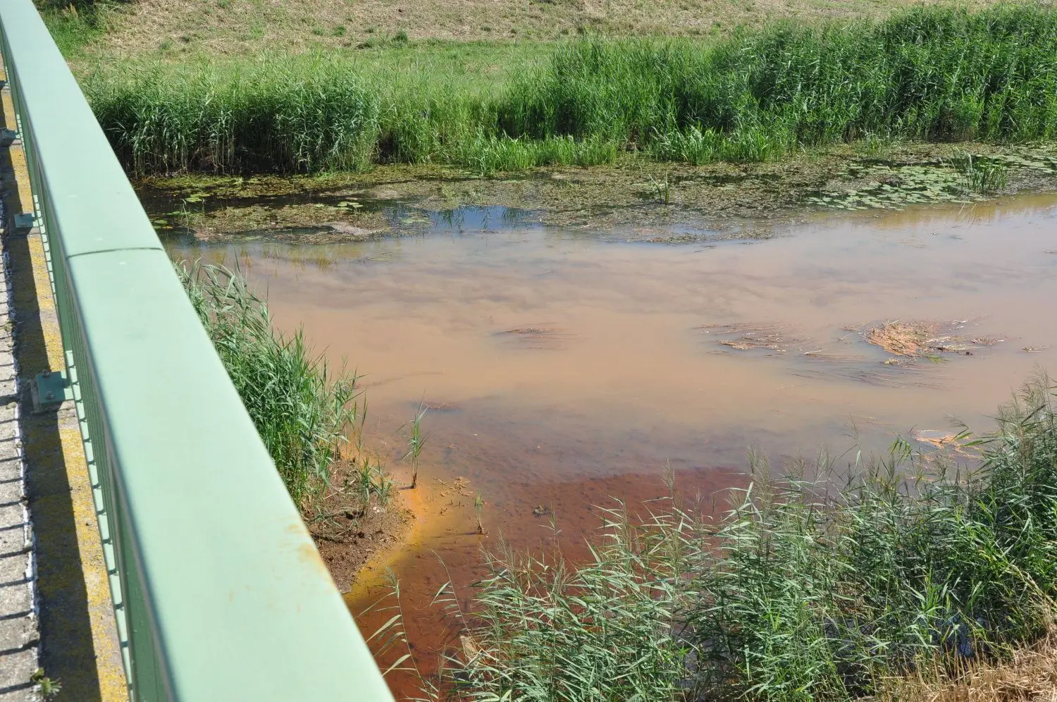 Schwarze Elster bei Plessa - Grüne erkundigen sich nach dem Fischsterben in der Elster wegen zu sauren Wassers und begonnen von Firma Gascade Bauabschnitte gezeigt - Trasse Eugal