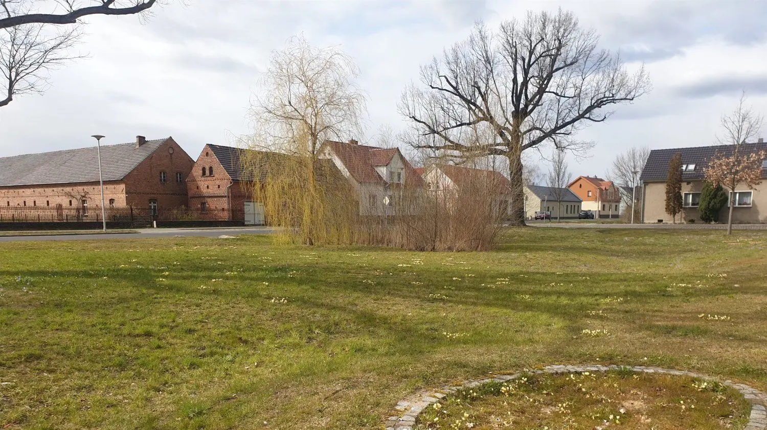 Auf dem Dorfanger in Altschmellwitz verschönern Frühblüher die Rasenfläche. Die Krokuszwiebeln sind dort vergangenen November von Anwohnern eingesetzt worden.