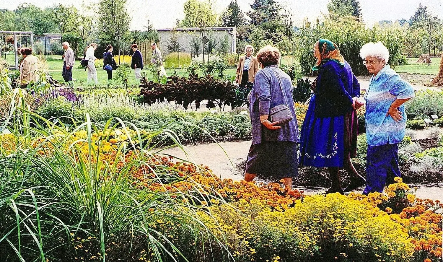 So blühte es 2000 im neuen Stadtpark, in dem 20 Jahre danach Sanierungsarbeiten geplant sind. Rund 400 000 Besucher sahen die erste Brandenburger Landesgartenschau in Luckau.