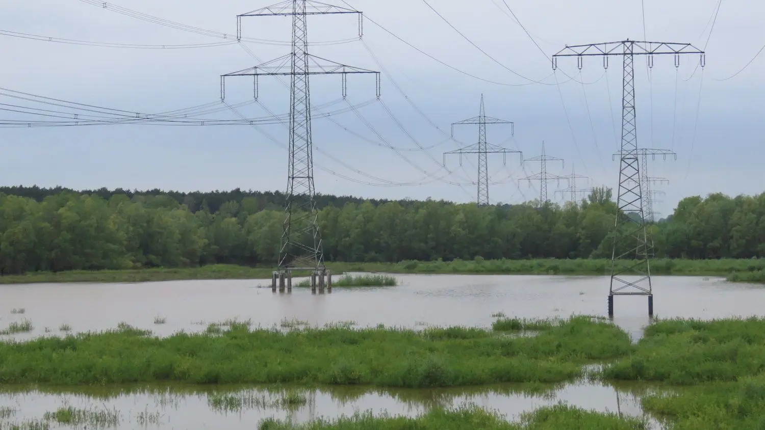 Wer die Natur in solchen Bereichen der Talsperre Spremberg nicht sofort sieht, der hört sie: viele Vögel und die platschenden Sprünge der Frösche und Fische.