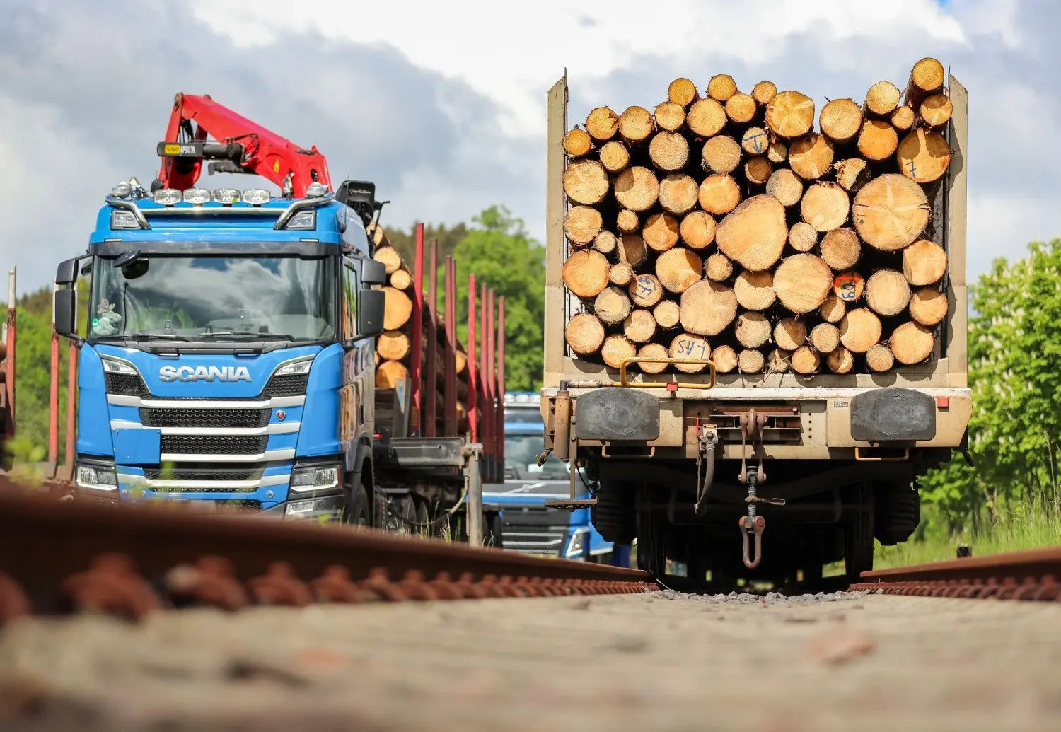 Erst kürzlich sind im Erzgebirge 1500 Kubikmeter Schadholz per Zug abtransportiert worden. Verladen wurde auf dem Bahnhof Pockau-Lengefeld. In Bayern sind sie in einem Sägewerk weiterverarbeitet worden.