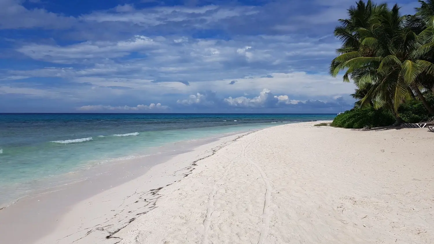 Traumhaft: Für diesen Strand an der Punta Cana in der Dominikanischen Republik müssen mindestens 10 Flugstunden zurückgelegt werden.⇥