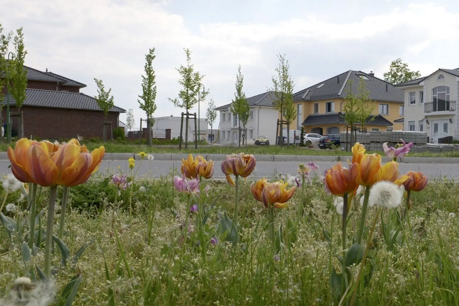 Das Wohngebiet „Alma“ am Großräschener See ist inzwischen fast vollständig besiedelt. In der Nordstadt können die Bauherren im Frühjahr loslegen. Auch hier will die Stadt das Baufeld noch erweitern. Denn die Nachfrage nach Grundstücken aus kommunaler Hand ist groß.