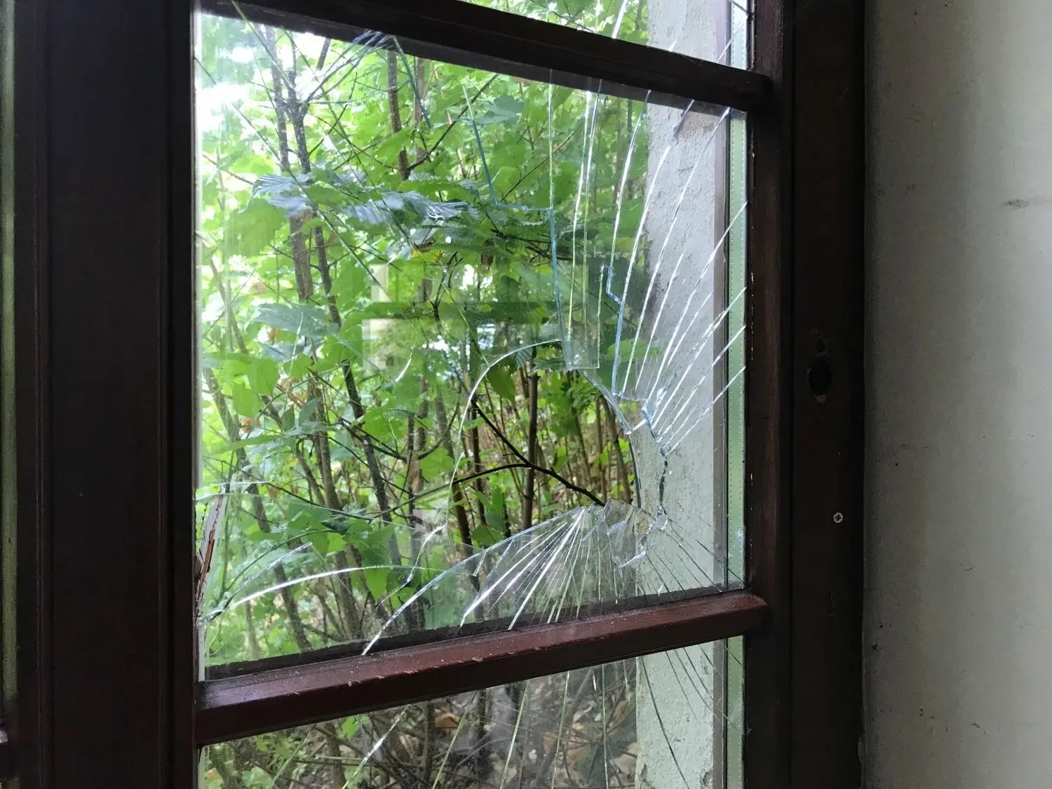Grundstück überwuchert, Scheiben eingeschlagen - so sah es monatelang auf der Landeskrone in Görlitz aus.