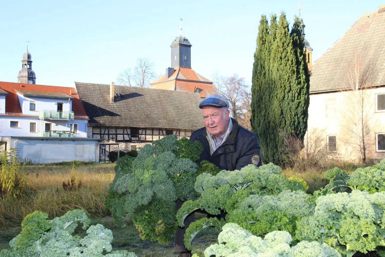 Landwirt und Hobbymeteorologe Rudolf Kupfer freut sich über seinen Grünkohl unweit des Lindenauer Schlosses. Das Gemüse hat im noch jungen Winter 2020/2021 bereits Frost bekommen und entfaltet nun seinen typischen Geschmack.