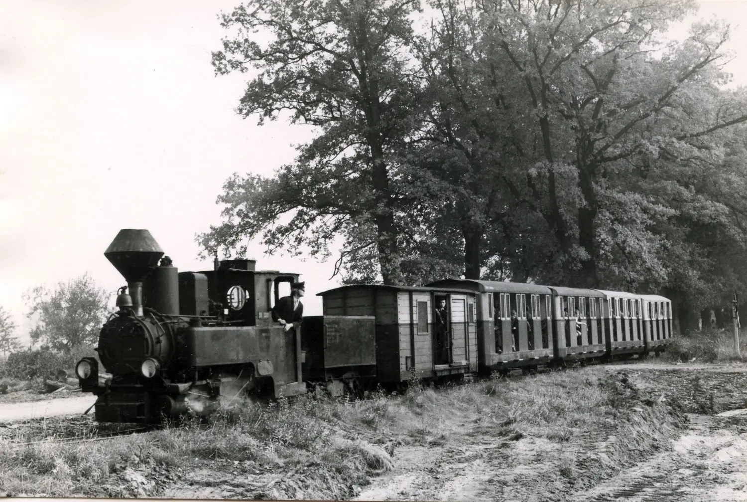 Die Dampflok Graf Arnim zieht die Pioniereisenbahn in Cottbus im Jahr 1971.