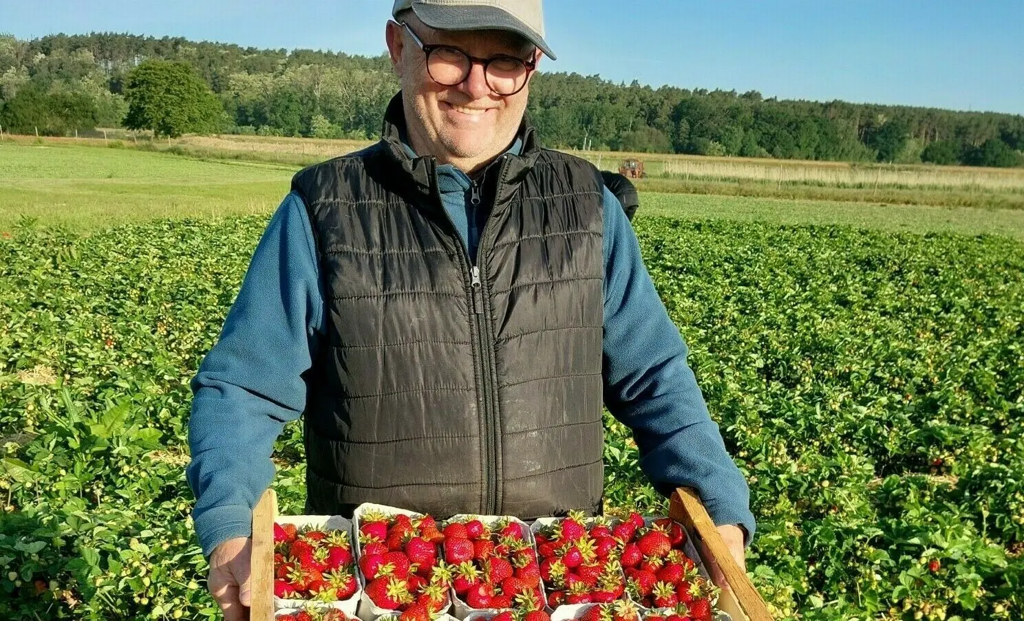 Grzegorz Perlak ist der Chef auf dem Erdbeerfeld bei Aldags Obstbau.