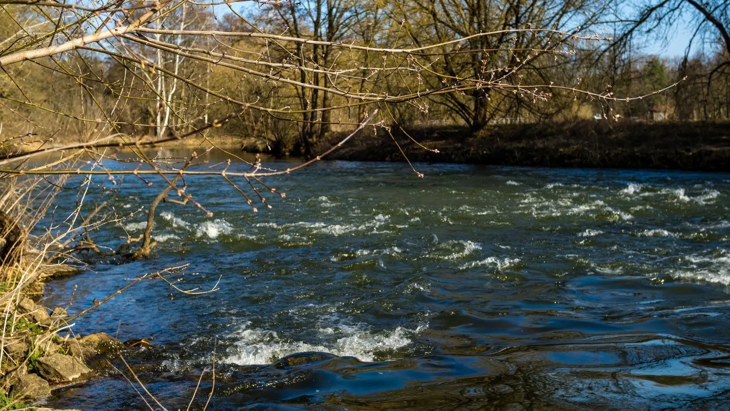 Bei Bräsinchen hat die Spree vor wenigen hundert Metern die Staumauer passiert. Reichlich Barsche und Hechte werden hier geangelt.