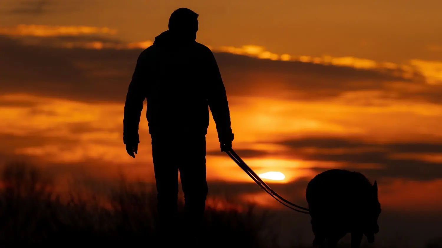 Ein Mann läuft mit seinem Hund in Richtung der untergehenden Sonne. Damit ein Dahme-Spreewälder das trotz Krebserkrankung auch künftig mit seinem Vierbeiner tun kann, setzte eine LDS-Beratungsstelle alle Hebel in Bewegung. (Symbol- und Archivbild)