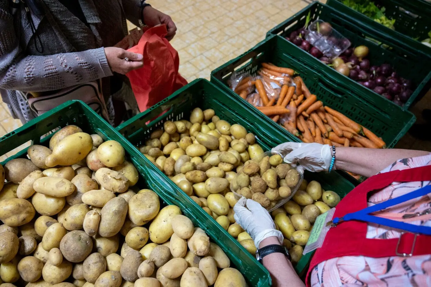 Kartoffeln, Möhren, Äpfel und noch mehr – das soll auf dem Markt in Boxberg zu haben sein.