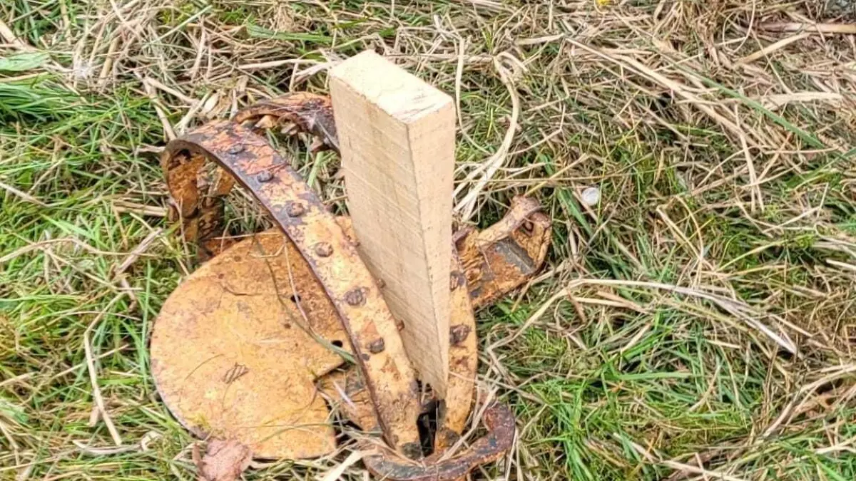 Tellereisen, wie hier in einem Garten in Arnsdorf verbotenerweise ausgelegt, sind eine furchtbare Fallenart und nicht umsonst verboten.
Tierquälerei in Arnsdorf