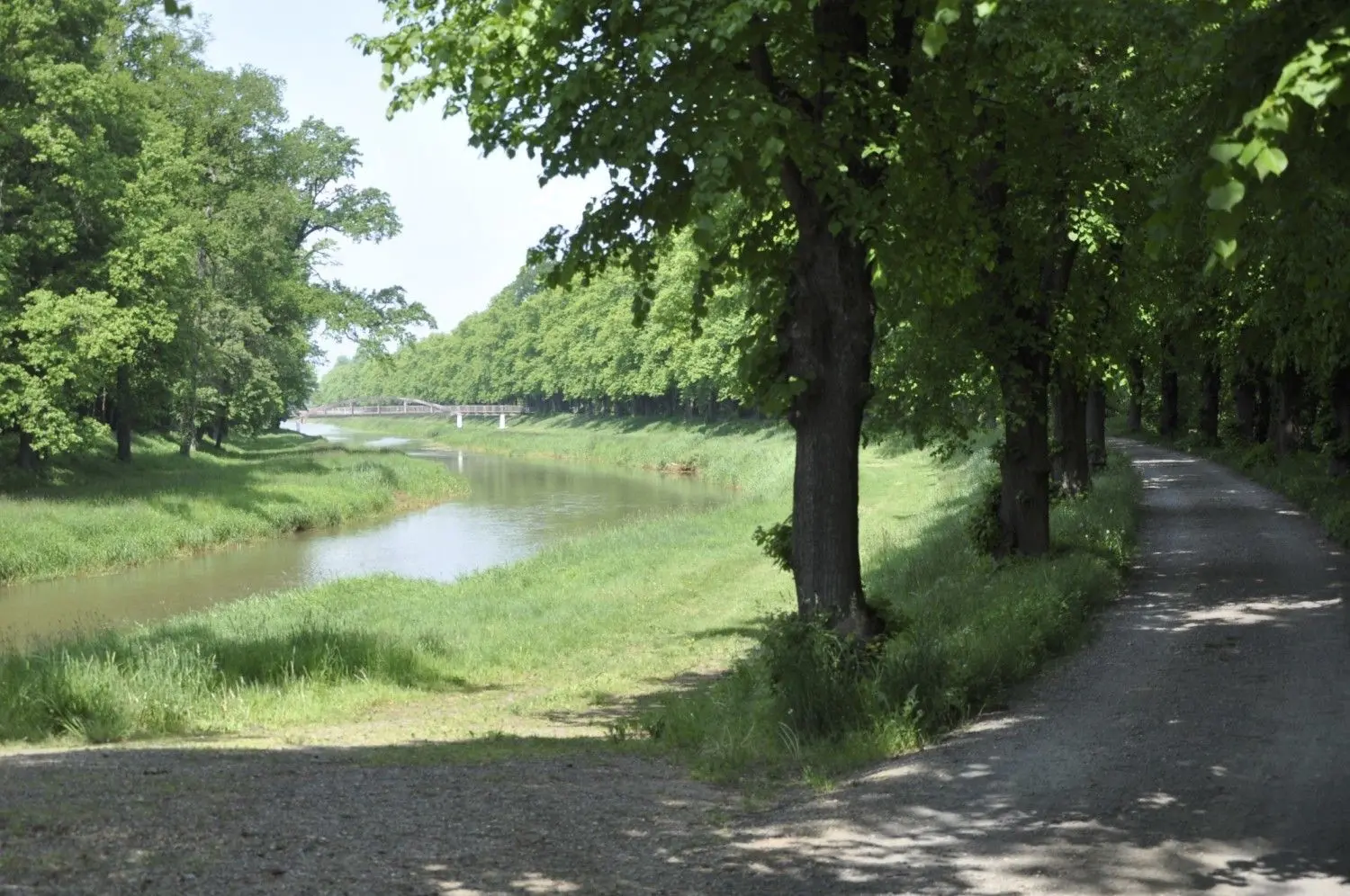 Schwarze Elster im Kurpark Bad Liebenwerda - die Bäume werden vermutlich alle verschwinden.