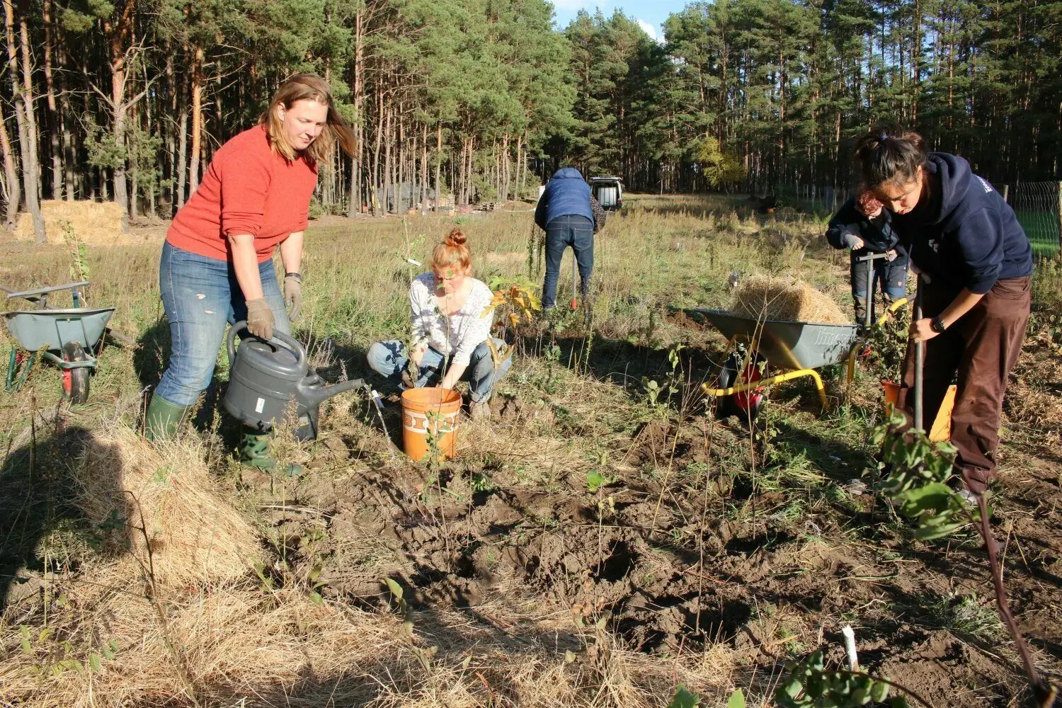 Gemeinsam geht es am besten. Zum Freiwald Pflanzting hat Shan Metz (l.) einige Mitstreiterinnen gewinnen können.