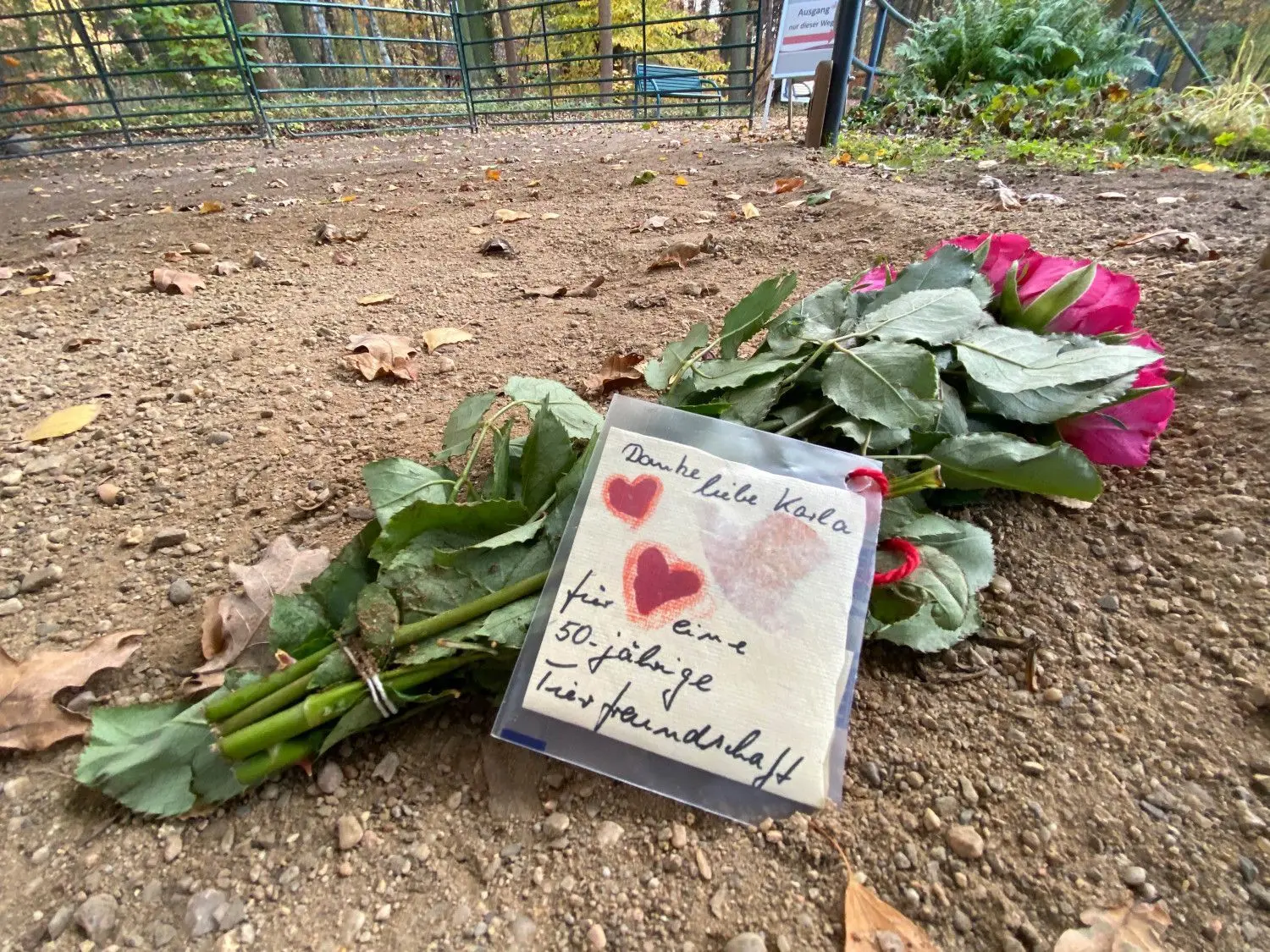 Ein letzter Blumengruß für die verstorbene Elefantendame Karla liegt am Eingang des Cottbuser Tierparkes. Wegen der Corona-Eindämmungsverordnung ist der Zoo geschlossenen.