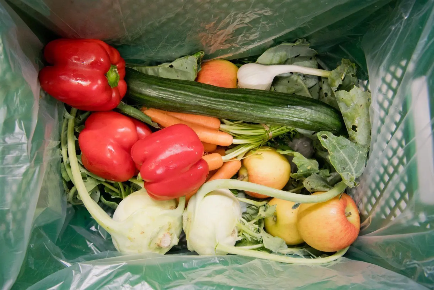 Regionales Obst und Gemüse wandert per Abokiste frisch vom Feld auf den heimischen Küchtentisch in Cottbus.