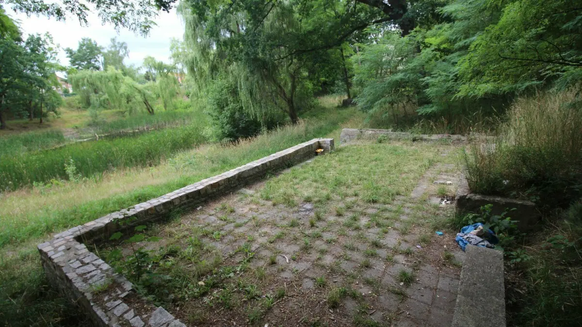 Zugewachsen und Reste von Feierlichkeiten: Der Käseteich in Weißwasser ist in keinem schönen Zustand.
Zugewachsen und Reste von Feierlichkeiten: Der Käseteich in Weißwasser ist nicht in schönem Zustand.