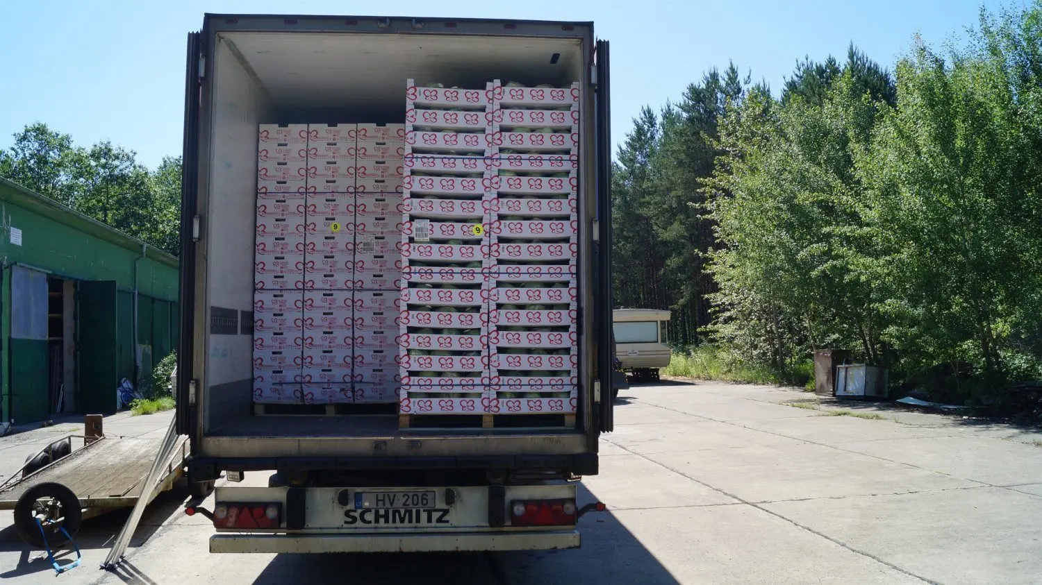 In einem Lkw mit Kühlauflieger, der quer durch Europa von Litauen nach Spanien und dann nach Großwoltersdorf gefahren ist, haben Ermittler hinter Kisten mit Salatherzen zwei Paletten mit rund 250 Kilo Marihuana gefunden.