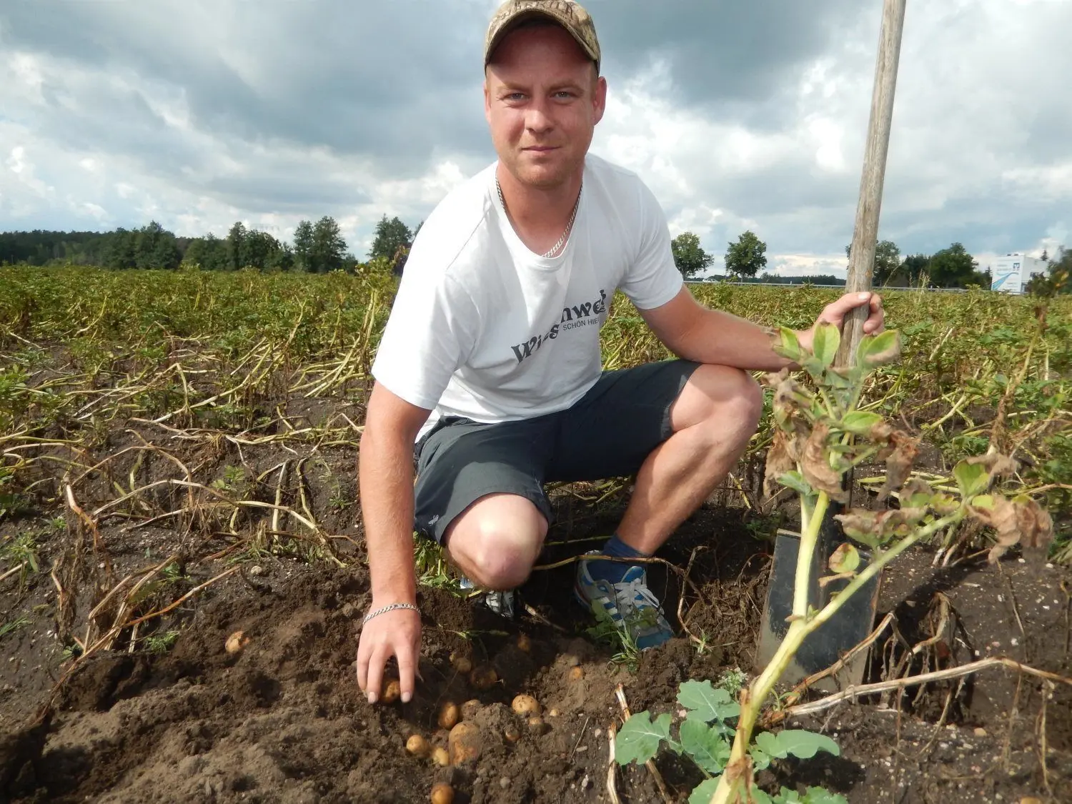 Er beklagt immer größere Schäden durch Diebe: Michael Völpel, Leiter Pflanzenproduktion, auf einem Kartoffelacker der Agrargenossenschaft Forst.