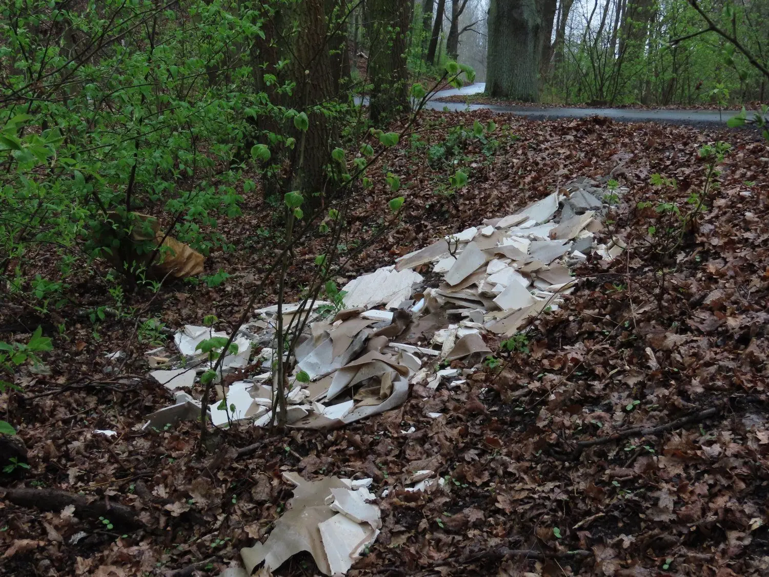 Bauschutt liegt seit einigen Wochen am Radweg kurz vor der Wilhelmsthaler Brücke. Auch ein Sack mit 25 Kilogramm Roggenmehl wurde dort illegal entsorgt. Am 7. April ist die Stadt von Bürgern darüber informiert worden, um die Beseitigung kümmert sich der Landesforst.