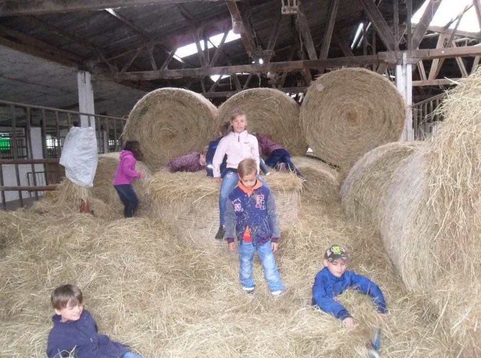 Genießen und Erleben auf dem Bauernhof in Bischdorf. Gerade für Kinder ist das Areal ideal. Der Angerhof ist zum wiederholten Mal bei der Brandenburger Landpartie dabei.