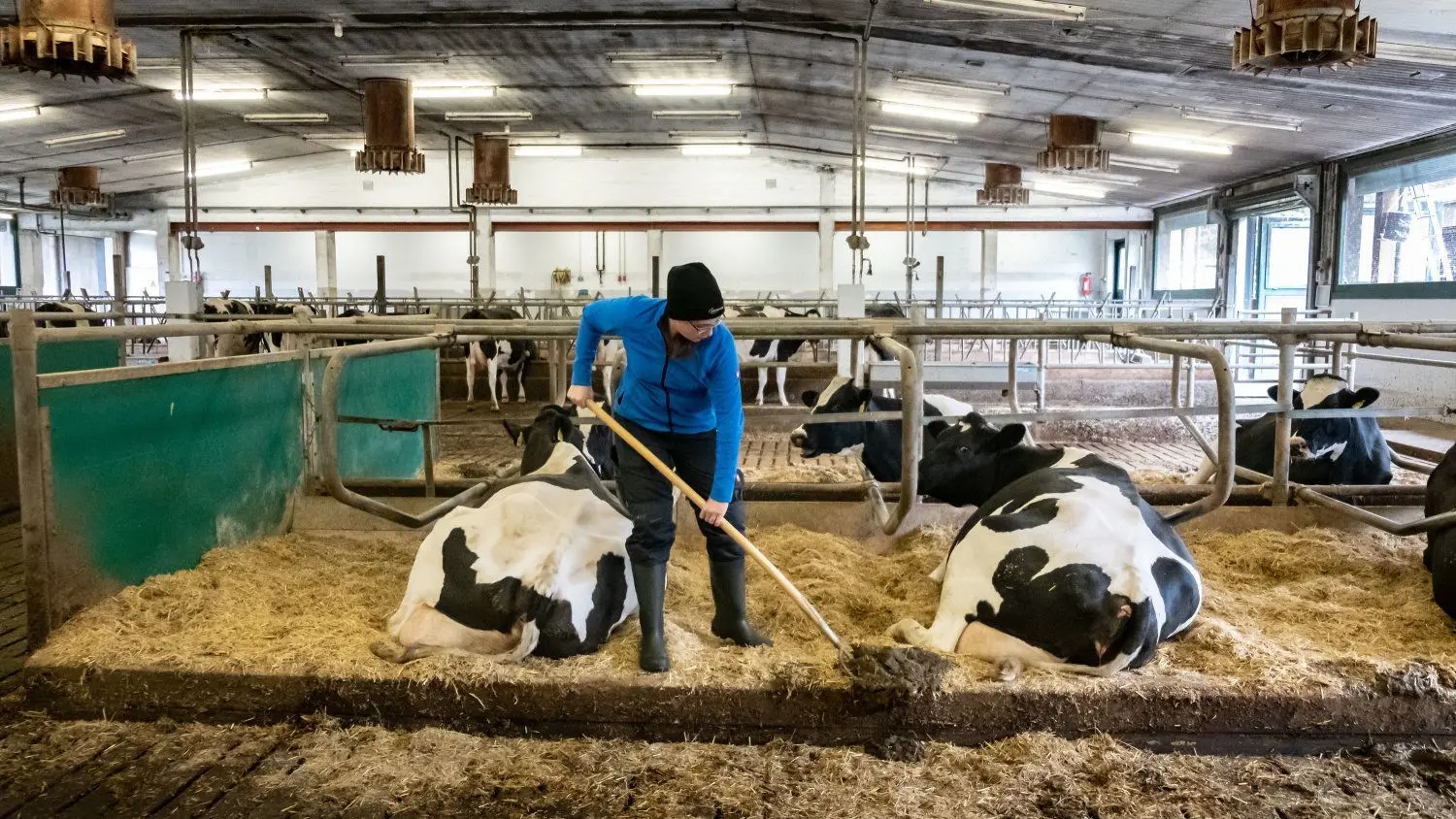 Eine Lehre in der Landwirtschaft ist nur eine von vielen Varianten, die das Projekt „Mut zur Ausbildung“ auf den Weg zu bringen versucht.