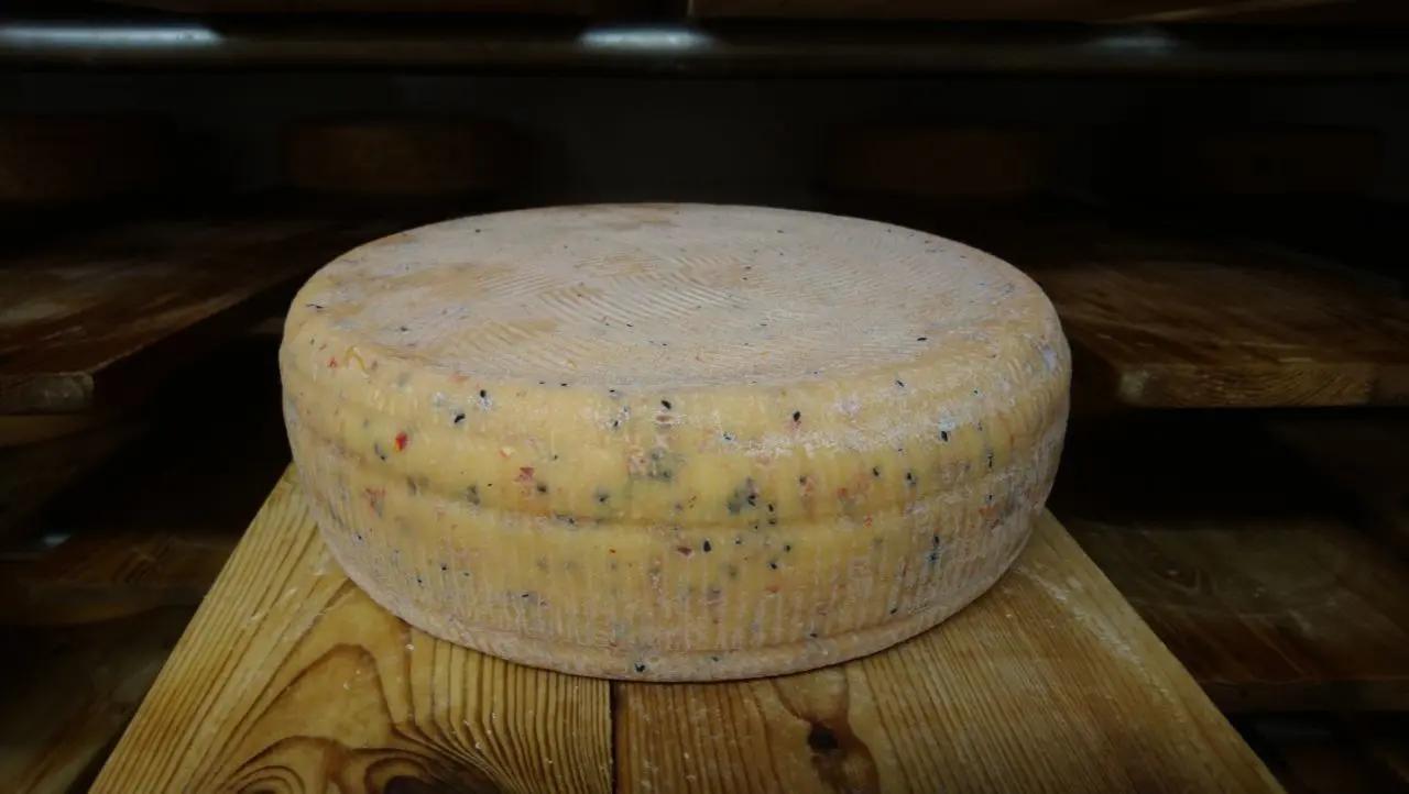 Eine Großaufnahme von dem geklauten Kuhkäse.