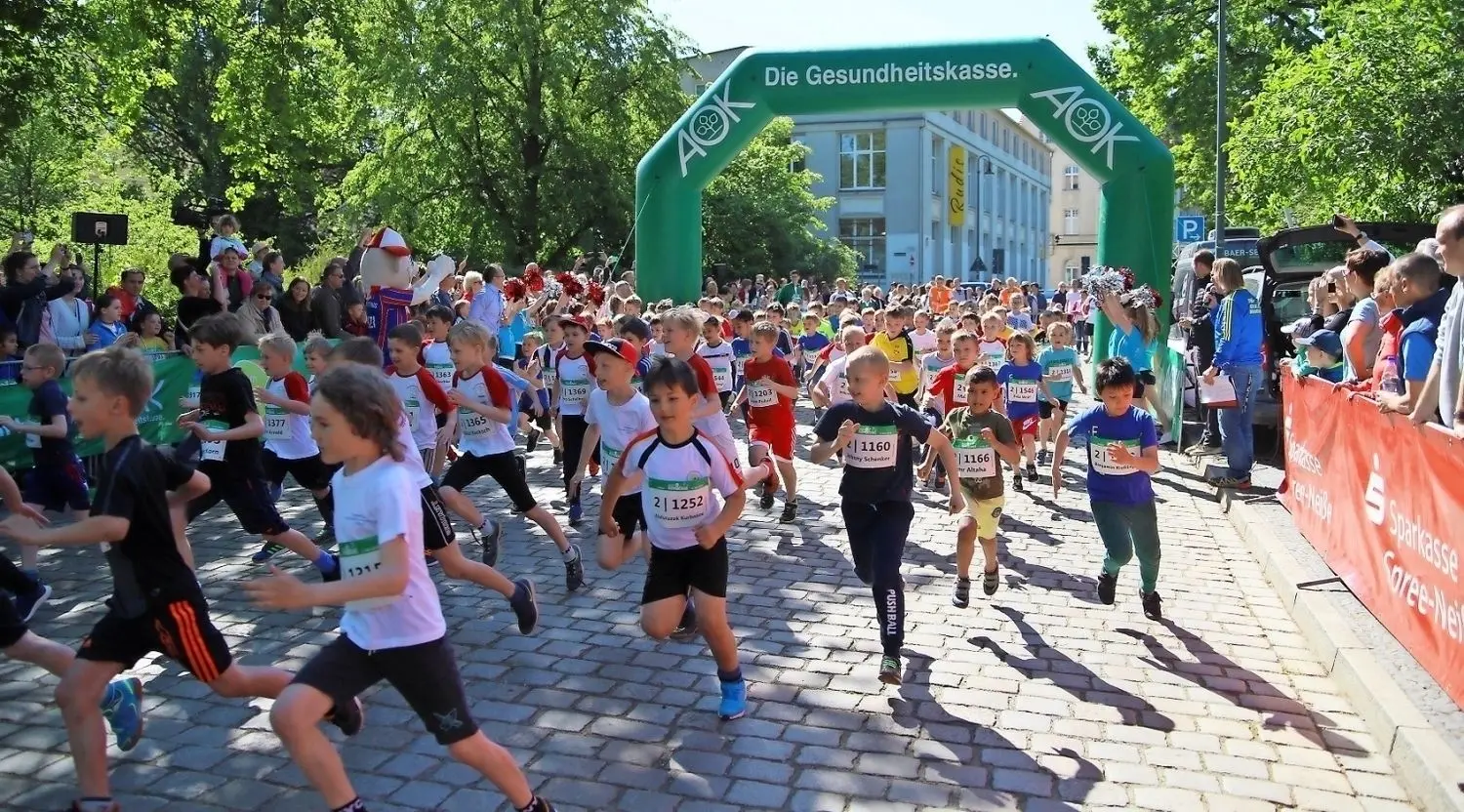 Zum teilnehmerstärksten Schülerlauf in Brandenburg haben sich bisher 1100 Kinder und Jugendliche aus Cottbus und Umland angemeldet.⇥