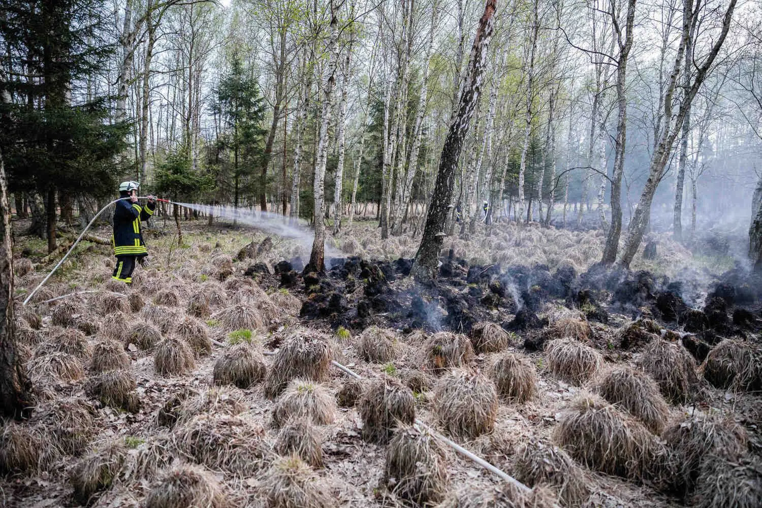 Immer wieder musste Wasser ins Moorgebiet gebracht werden, damit die Feuerwehrleute das Feuer bekämpfen konnten.