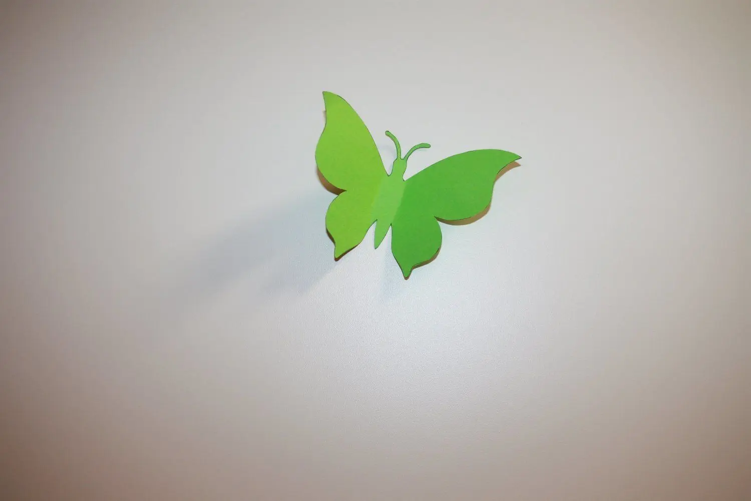 An der Tür jedes bewohnten Zimmers flattert ein bunter Schmetterling.