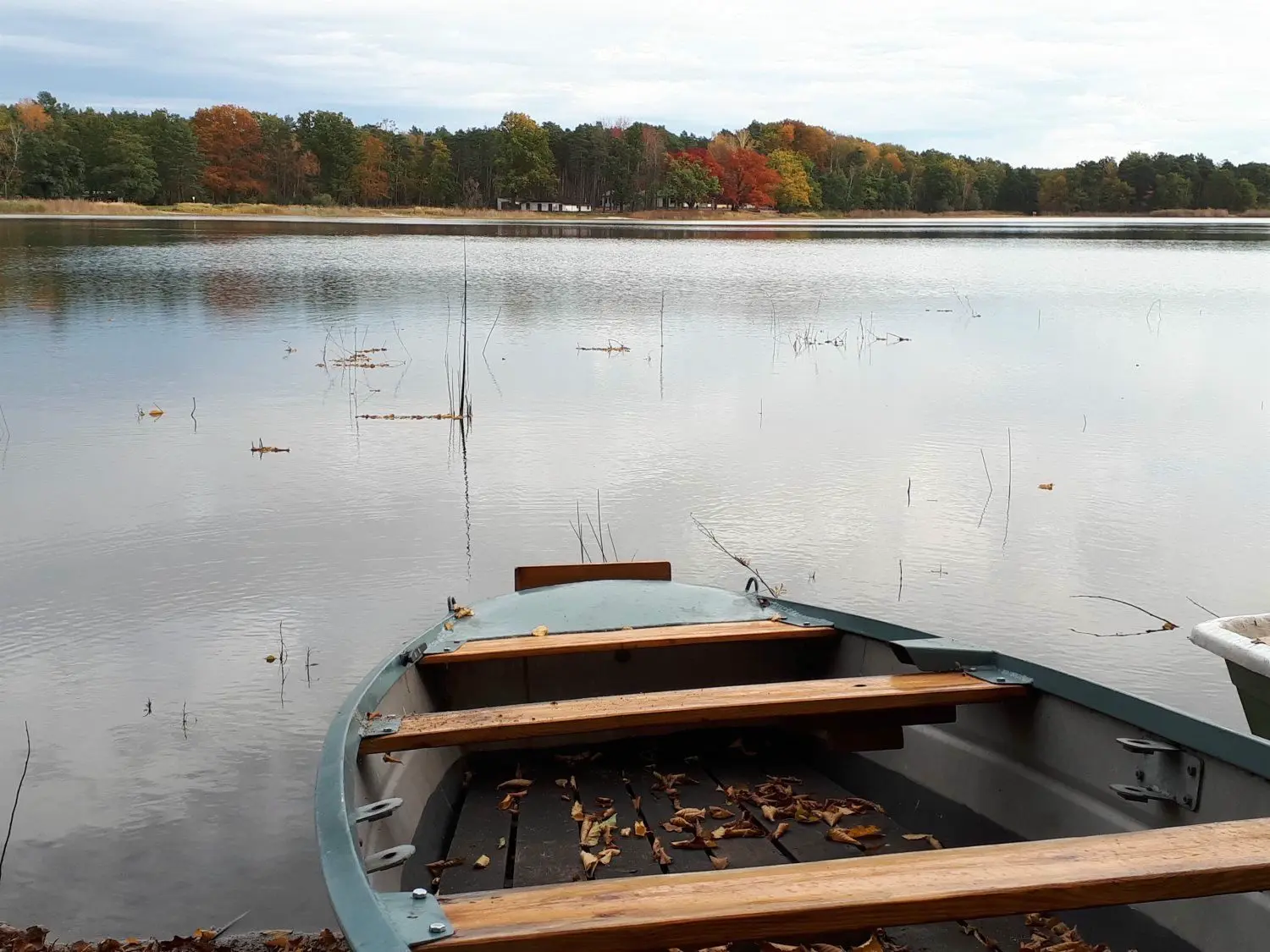 Naturschutzgebiete in ElbeElster So soll der Körbaer Teich mehr