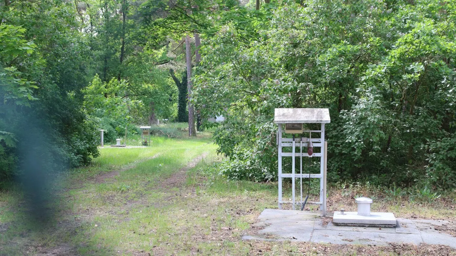 In einem Waldstück an der Brunnenstraße befinden sich die Tiefbrunnen, mit denen aktuell das Trinkwasser für die Lübbener gefördert wird.