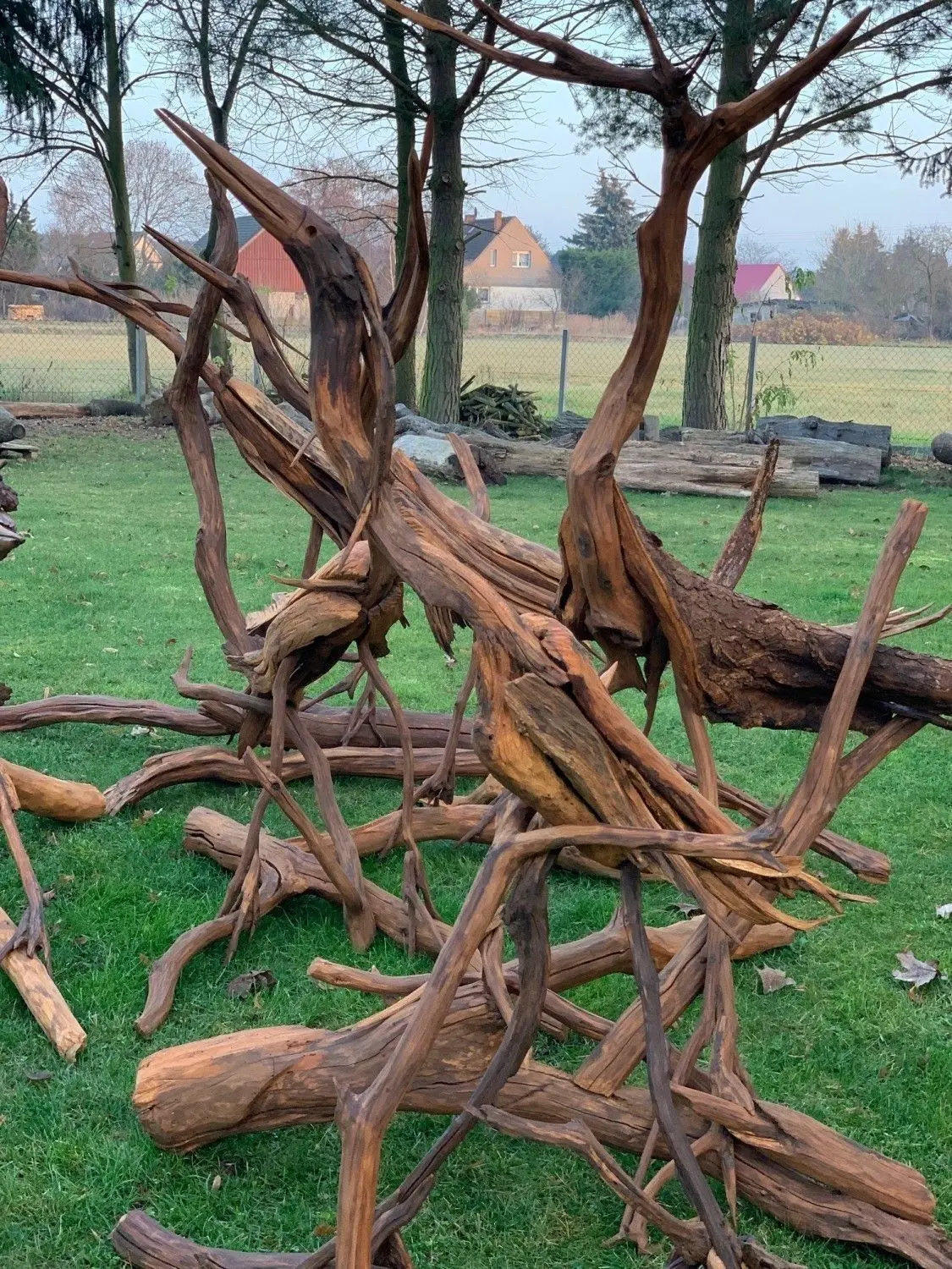 Altes Holz setzt Achim Nocka zu Tierfiguren zusammen. Gerade ist eine Gruppe Kraniche entstanden, die jetzt in seinem Garten stehen.