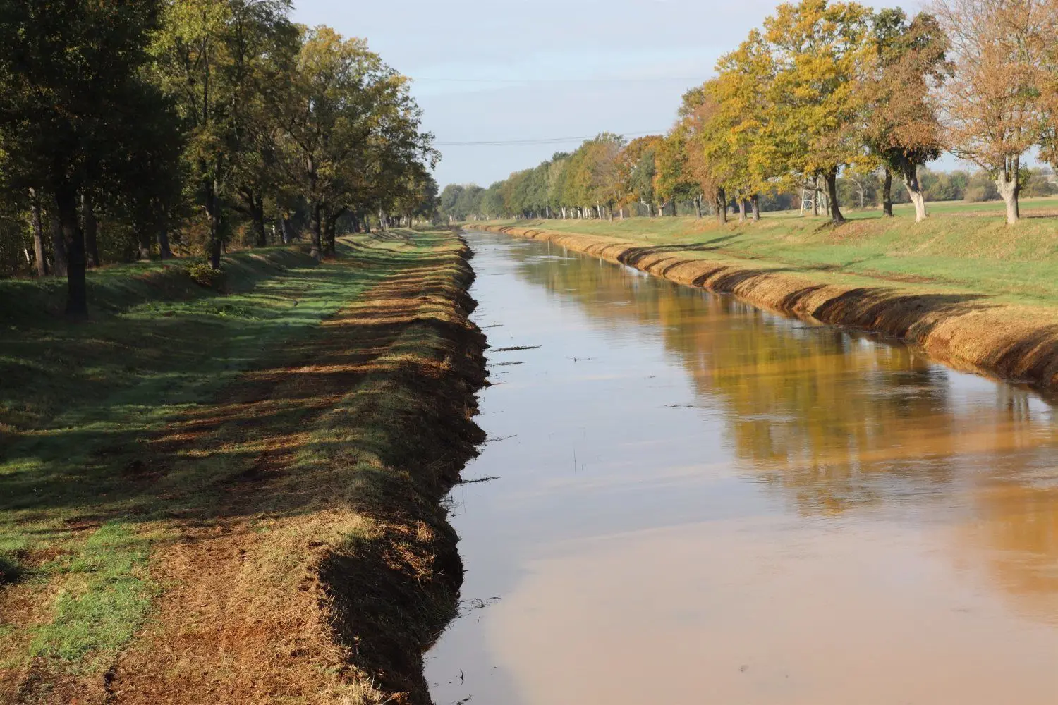 Die gekrautete Schwarze Elster bei Kahla. Bei Hochwasser stellen allein die im Vorland stehen Bäume ein Abflusshindernis dar.