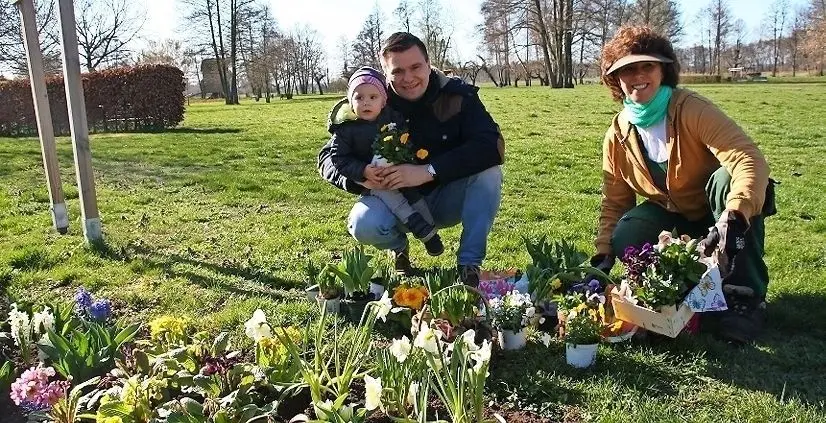 Nach dem Luckauer Tulpenklau hat auch die Kita „Gottessegen“ geholfen. Laga-Mitarbeiter Tino Wolff und Klein-Jonas sowie Gärtnerin Birgit Schulz mit den Spenden.⇥