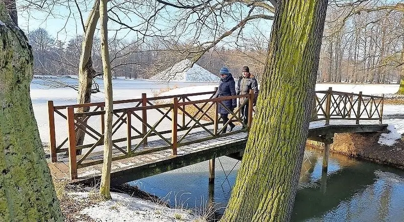 Der Branitzer Park: einer der schönsten Orte der Stadt. ⇥