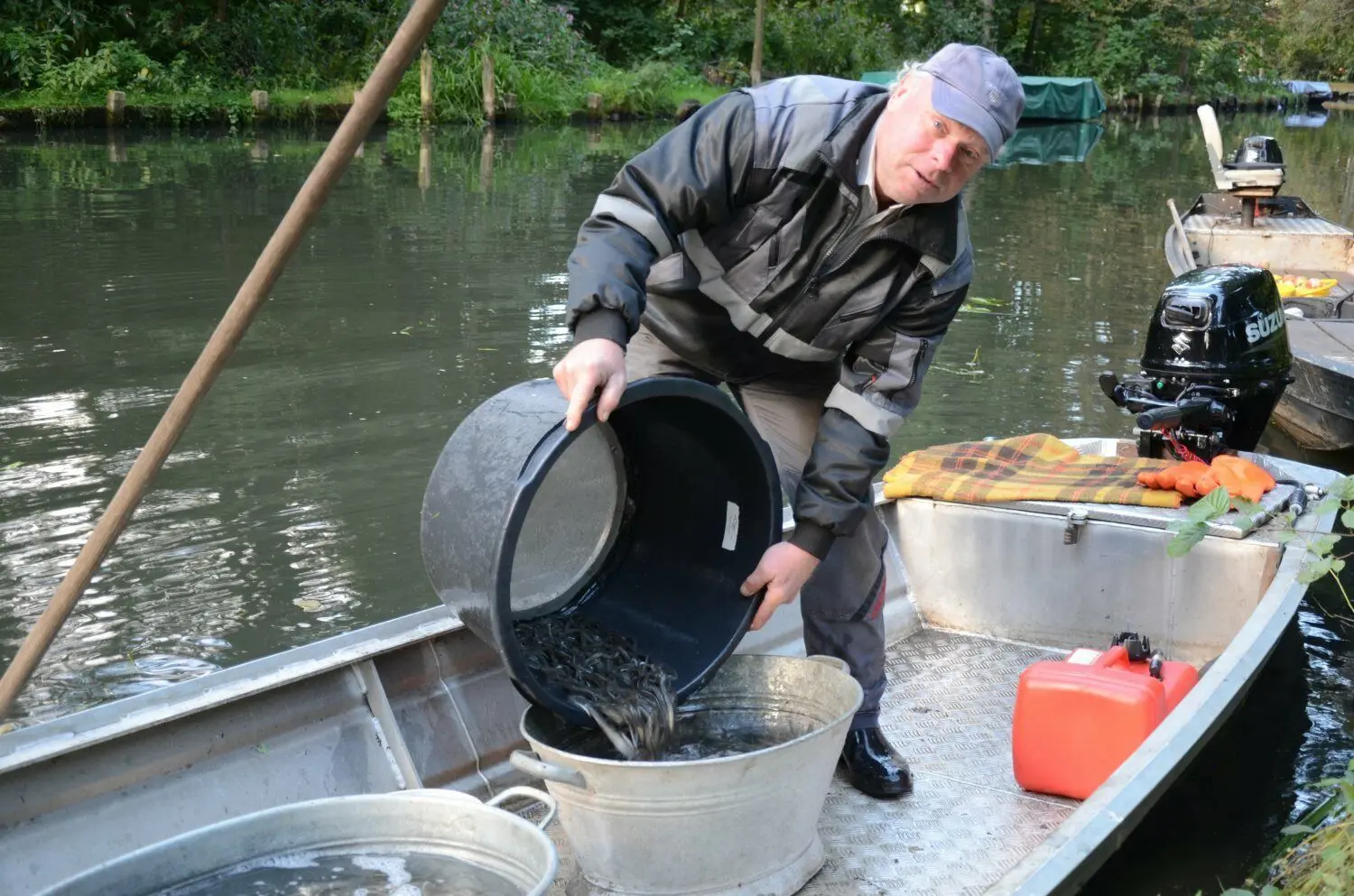 Acht Spreewaldfischer aus Lübbenau verteilen die Aale in der Fließlandschaft.