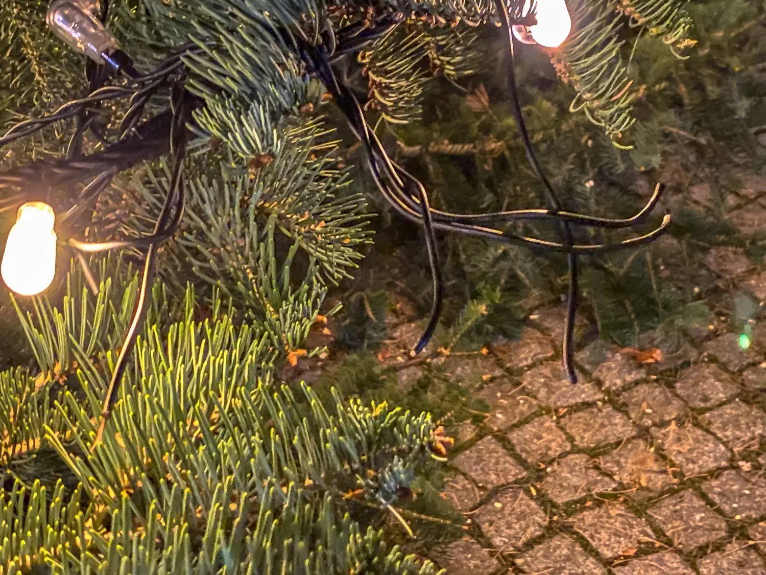 Am Weihnachtsbaum auf dem Marktplatz in Bad Liebenwerda wurde das Kabel der Lichterkette zerschnitten, sodass nur noch der untere Ring leuchtete.