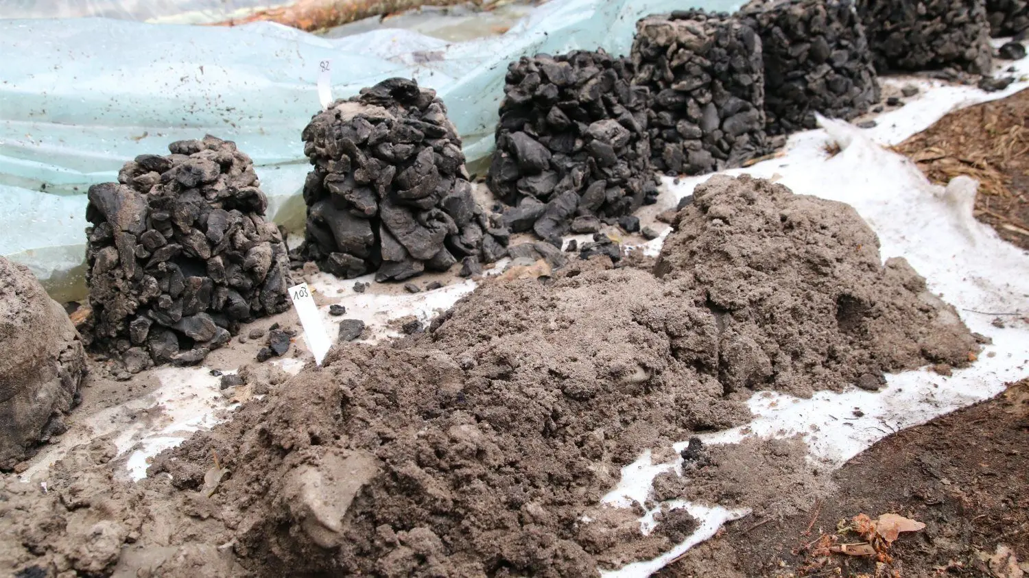 Sandhaltig ist die grundwasserführende Schicht, die sich in über 100 Meter Tiefe befindet. Dazwischen befinden sich unter anderem Schichten mit Braunkohle (hinten), wie an den Bohrkernen zu erkennen ist.