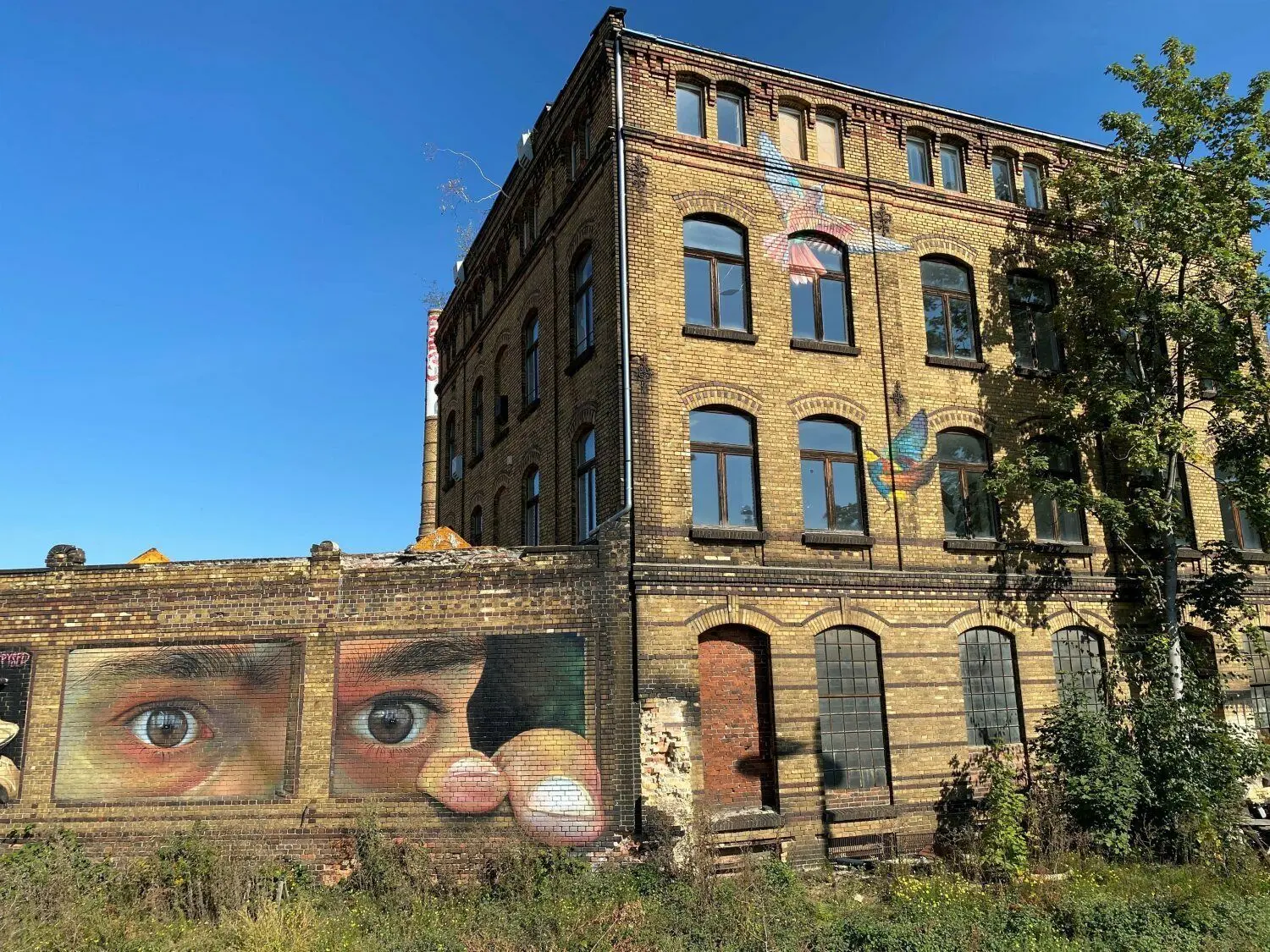 Die alte Segeltuchfabrik schmücken Grafitti von Dawid Drone und Dirk Hiekel.