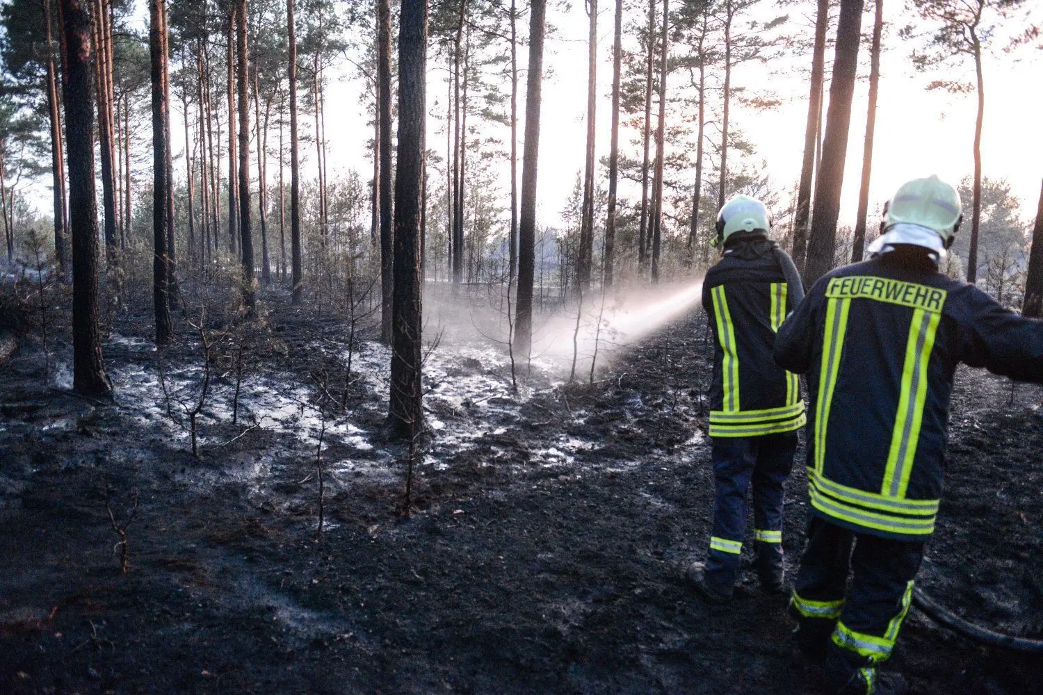 Feuerwehrleute löschen Glutnester auf dem ehemaligen Truppenübungsplatz.