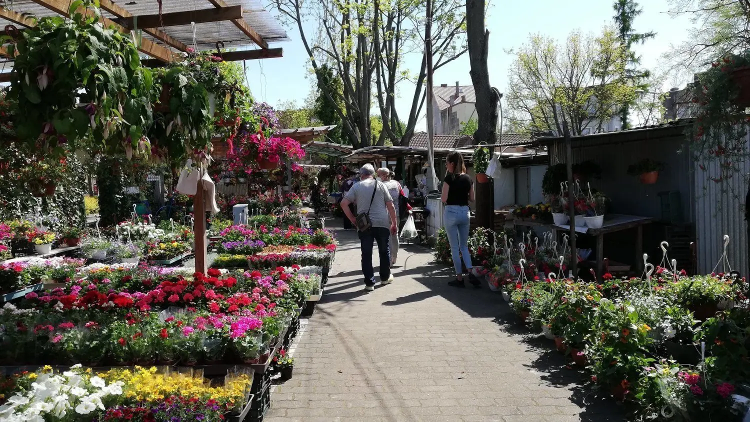 Der Markt in Gubin hat seit Wochenbeginn wieder offen. Die ersten vollständig Geimpften aus Südbrandenburg haben Tomatenpflanzen  gekauft und Blumen für Balkon und Garten.