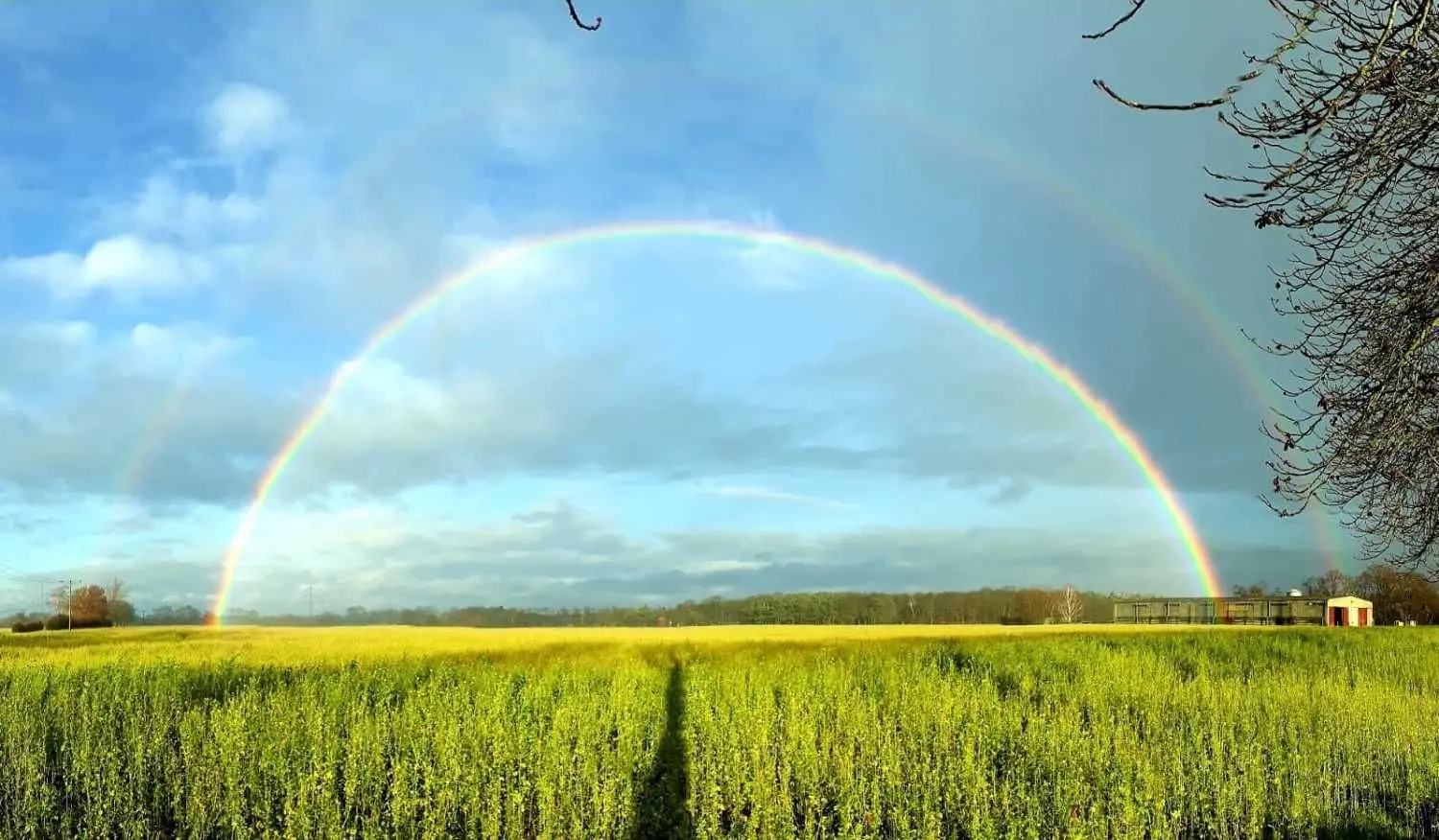 Wenige Tage vor Weihnachten gab es diesen doppelten Regenbogen im Elbe-Elster-Land zu bestaunen. Die Natur wirkt bislang alles andere als winterlich.
