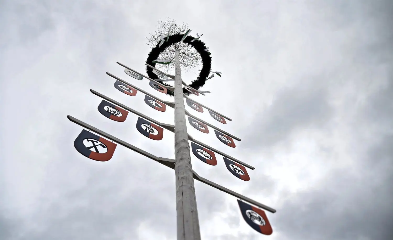 Der Maibaum der Niederlausitzer Kreishandwerkerschaft auf dem Markt in Finsterwalde