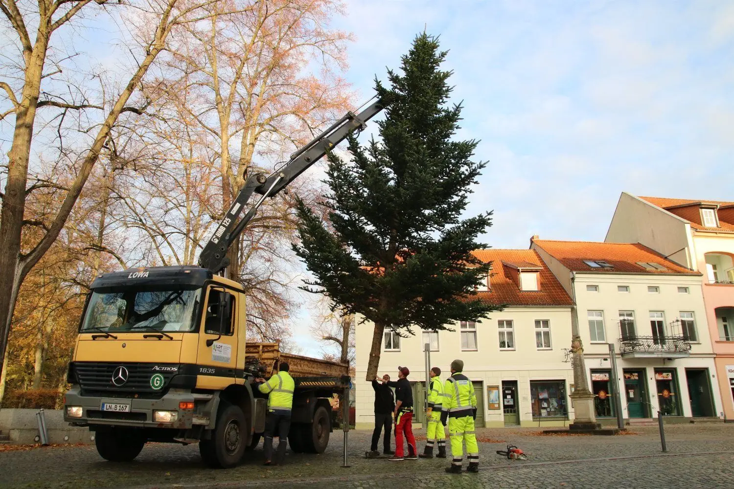 Aus dem Garten der Familie Herzog hat das Baubetriebsamt die Blautanne zur Breiten Straße transportiert.